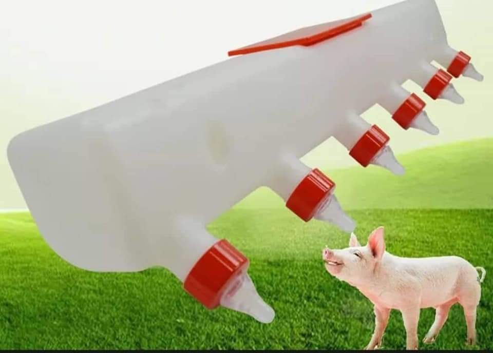 Piglet Milk Feeder