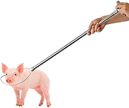 Pig Holder Catcher, Stainless Steel Pig Catcher Pole Animal Control Pole Hog Holder for Dogs