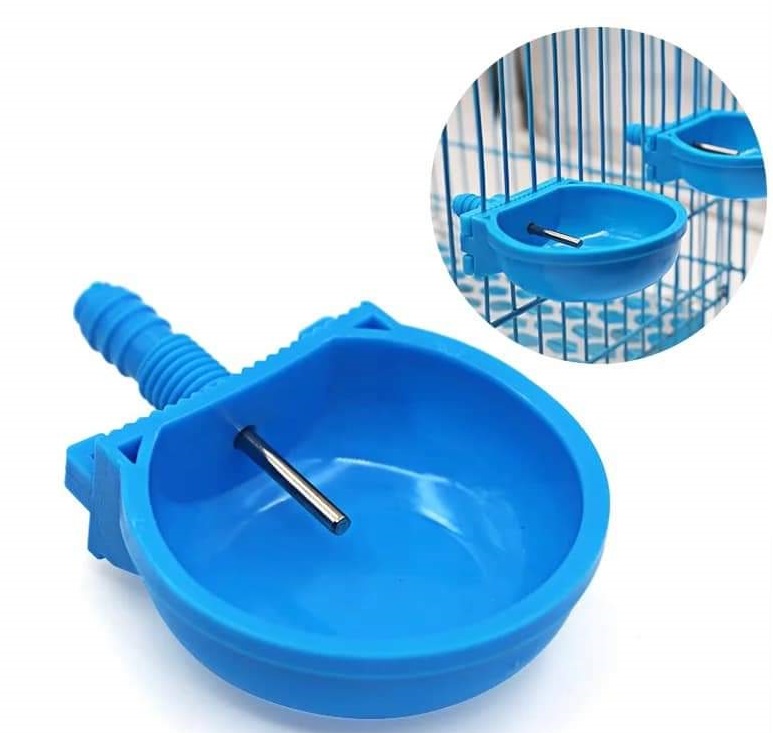 Rabbit automatic water bowl Pack of 5