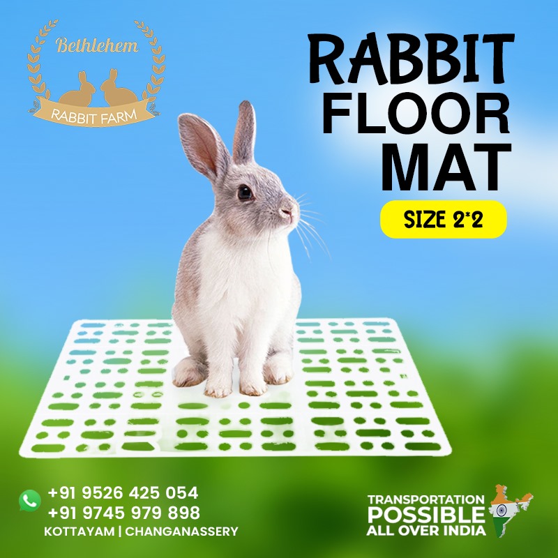 Rabbit floor mat size 2*2 (Pack 5)