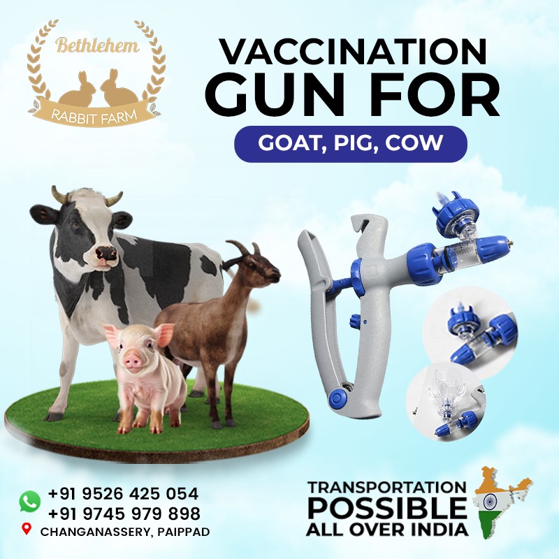 Livestock Syringe Animal Injector Gun, 5ML