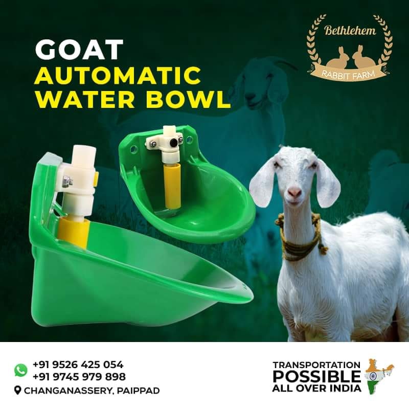 Automatic Drinking Water Bowl for Goat 