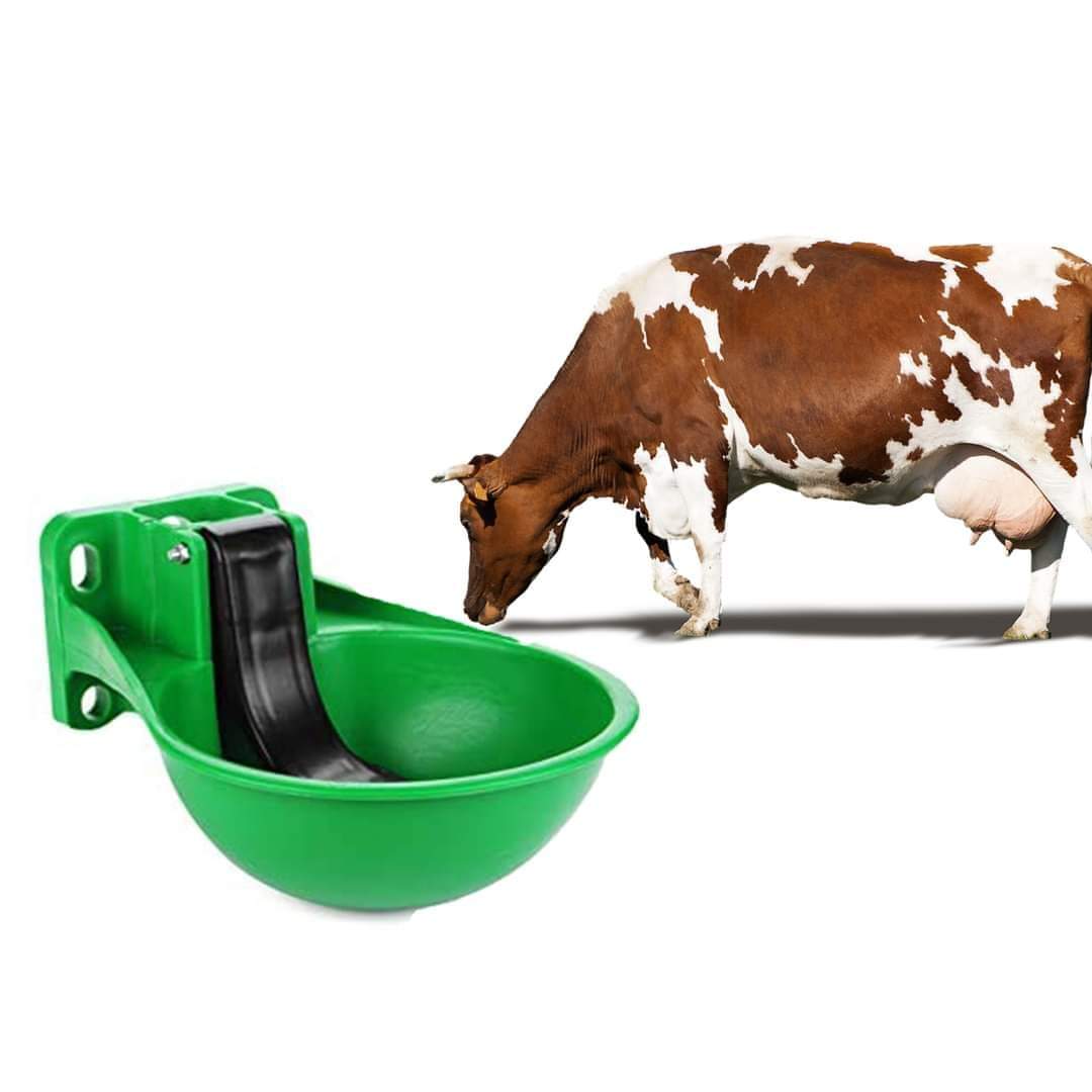 Automatic Cow Water Drinking Bowl Made with Unbreakable Plastic