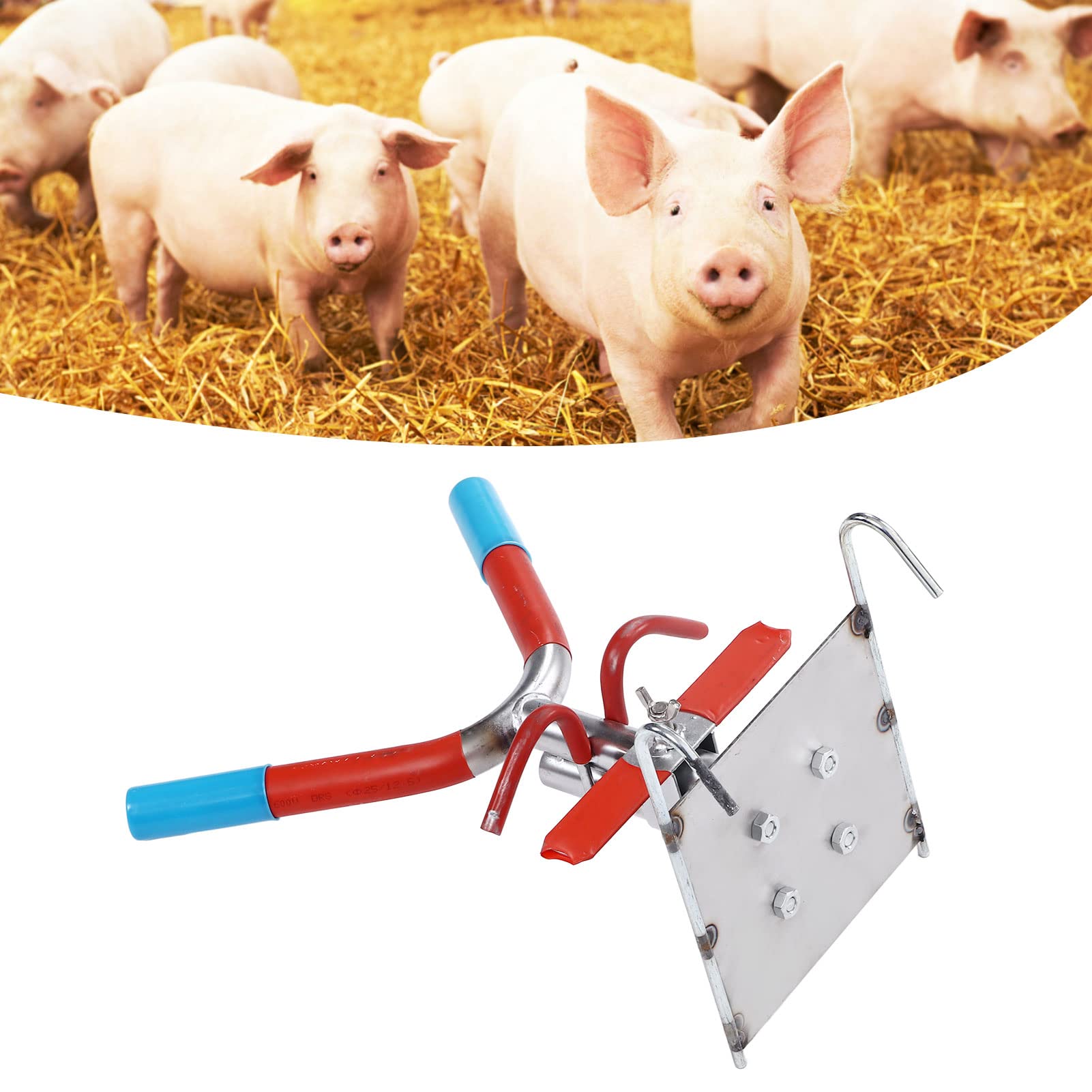 Piglet Castration with Durable Stainless Steel Rack - Convenient, Simple Operation for Efficient Pig Farm