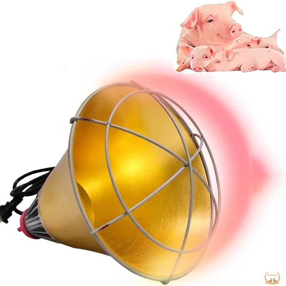 Heater Heating Lighter for Chicken Coop, Dog Shed,