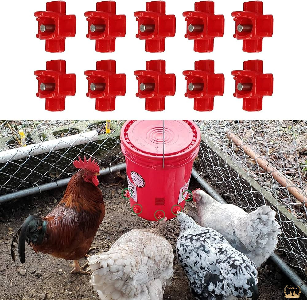 Horizontal Side Mount Design: Saves space and keeps the waterer easily accessible for poultry while reducing spillage.
