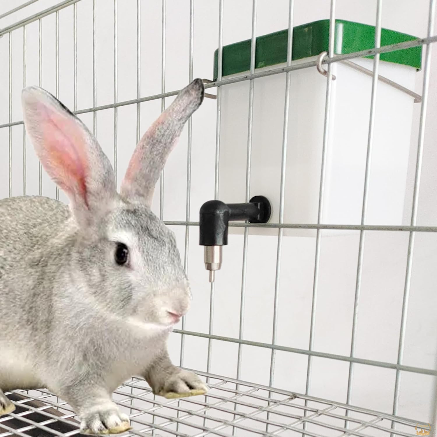 Automatic Water Feeder for Chinchilla Quail Chicken 500ml 8cmx8cmx10.5cm