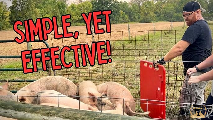 Ergonomic Design: The Hogs Sorting Panel features rounded hand grips on top, ensuring maximum comfort during use, making it ideal for efficient livestock management