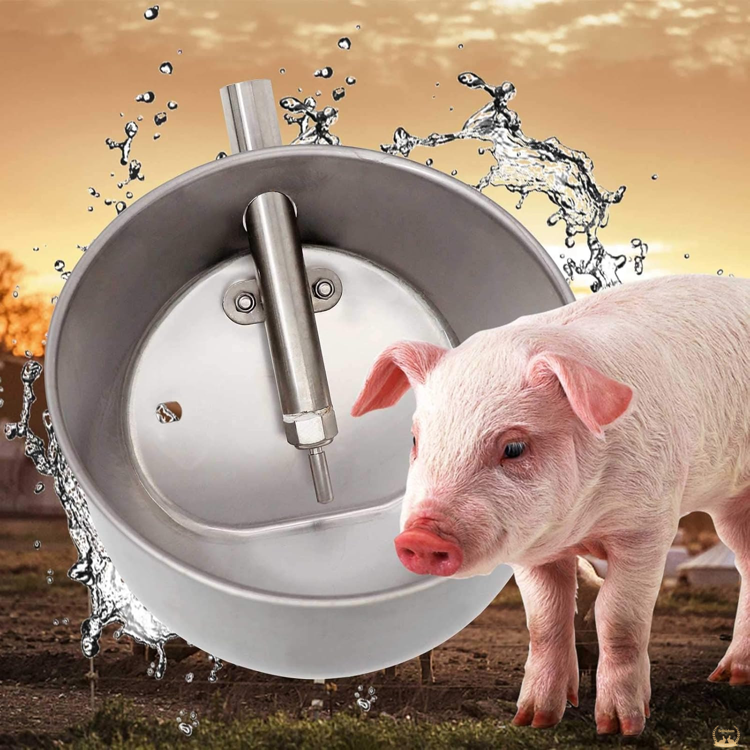 pig farms use automatic drinking water devices, such as pig drinking water bowls. The pig drinking water bowl only needs to install the water pipe in the pig drinking area and install the automatic drinking water bowl at the appropriate height.