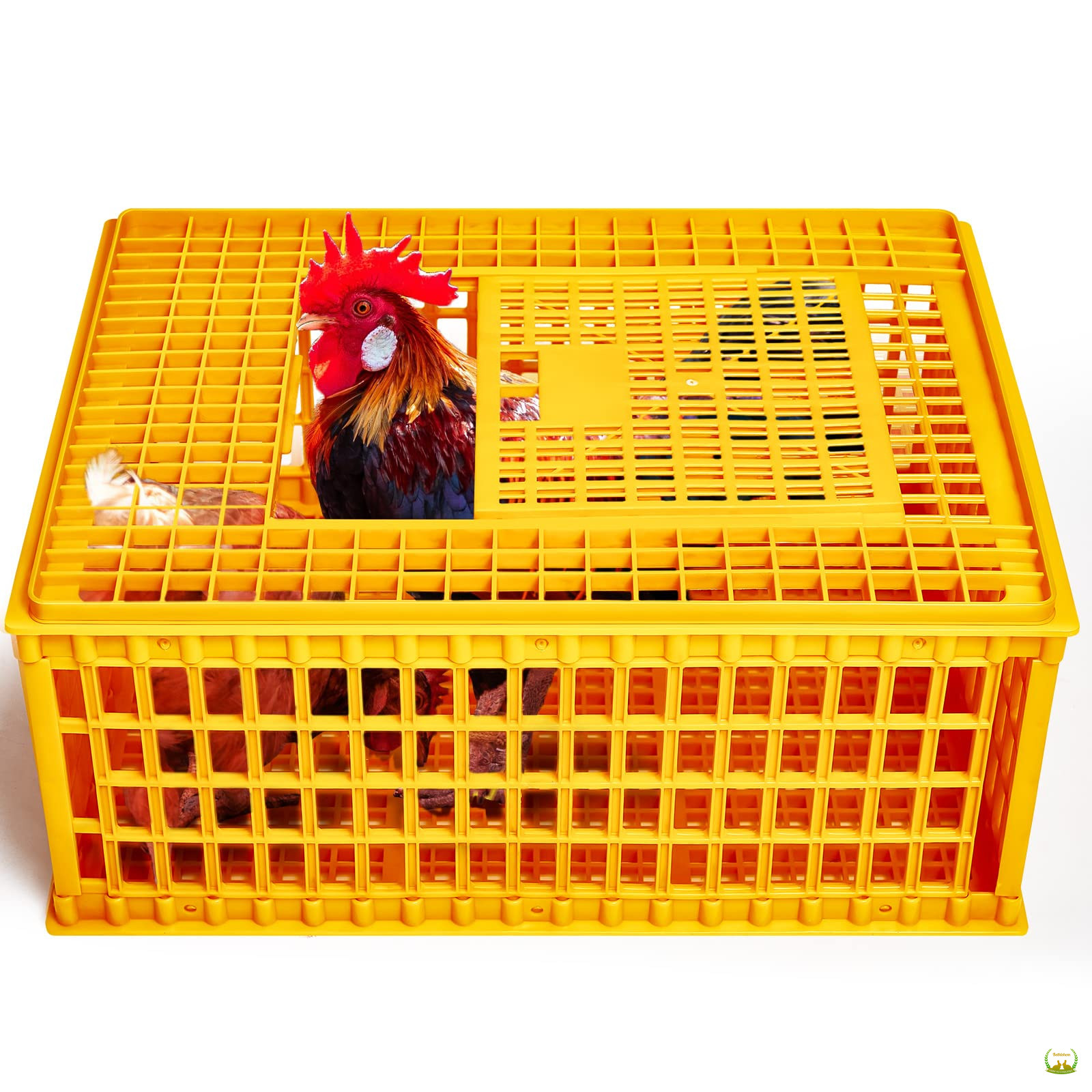 Great for transporting your chickens, temporarily quarantining a chicken, or caging them while you clean out the coop. Easy-to-slide top and side doors for placing birds or small animals in and letting them out.